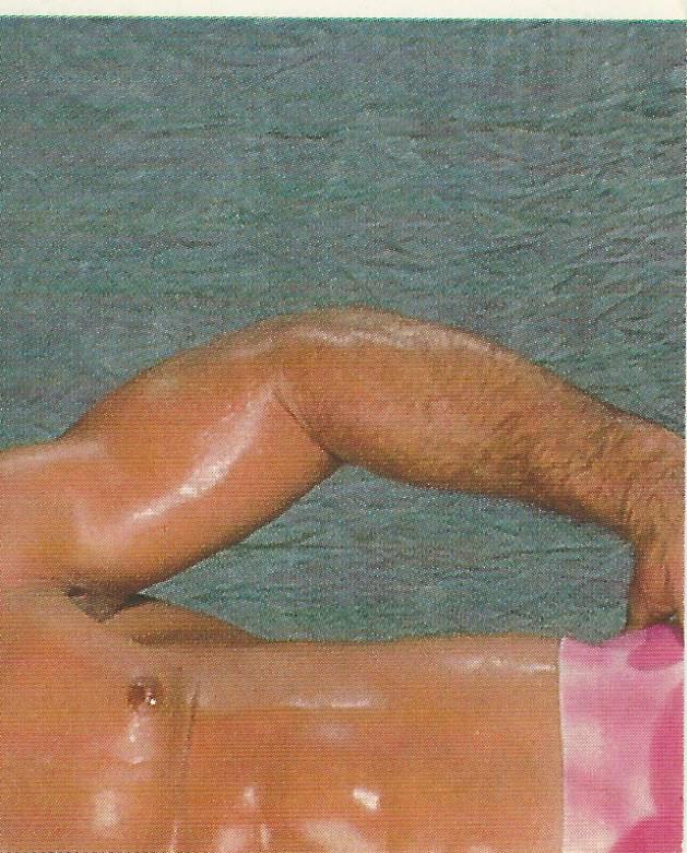 WWF Merlin Sticker Collection 1990 Rick Rude #26