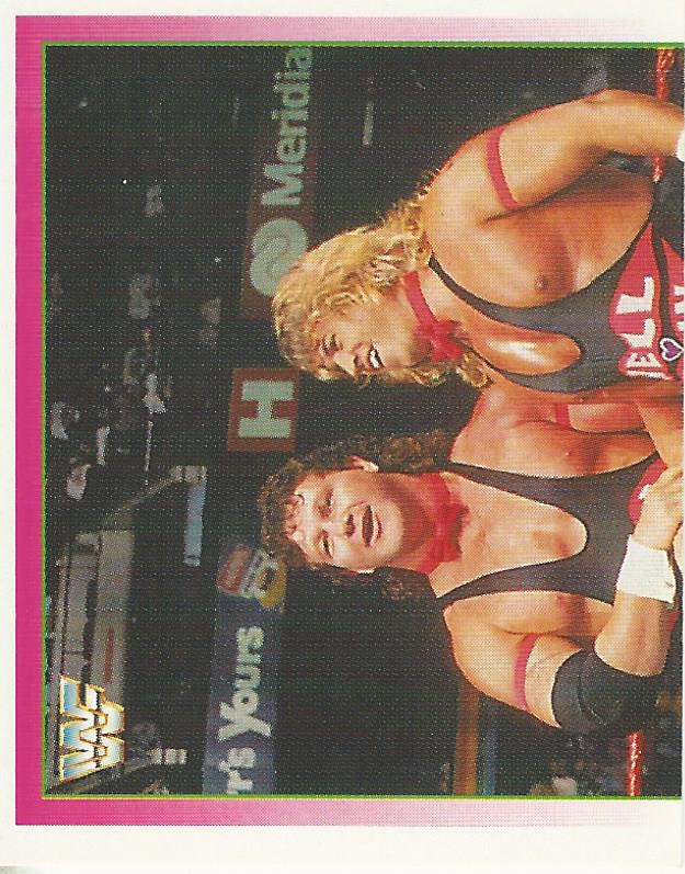 WWF Merlin Stickers 1995 Well Dunn #273