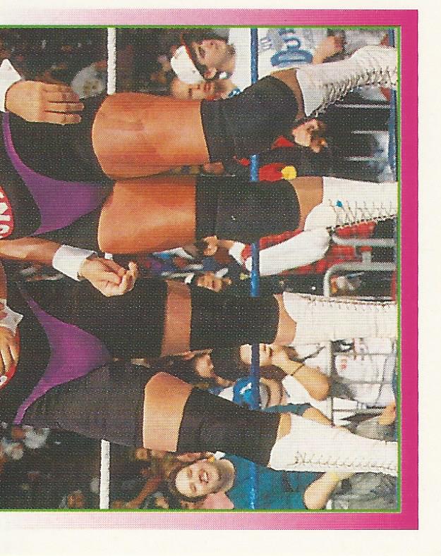 WWF Merlin Stickers 1995 Well Dunn #274