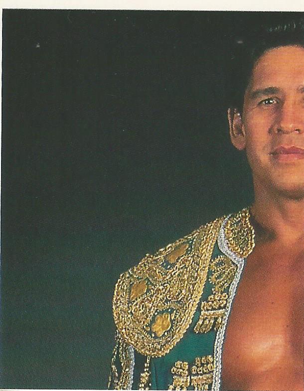 WWF Merlin Stickers 1991 El Matador #277