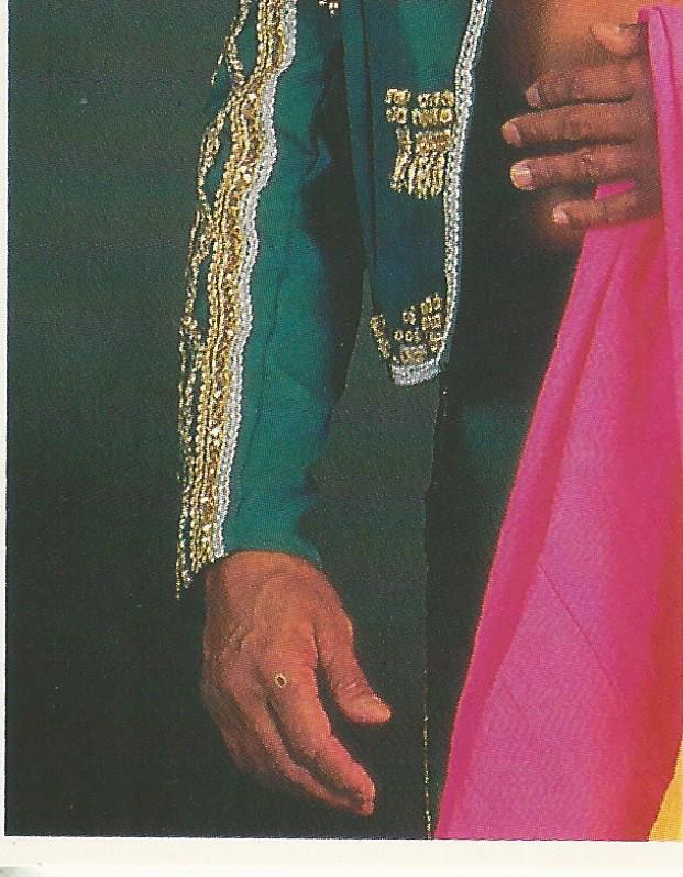 WWF Merlin Stickers 1991 El Matador #279