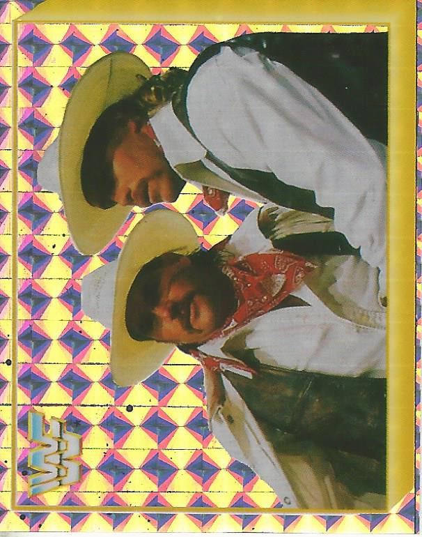 WWF Merlin Sticker 1994 Smoking Gunns #285 Version 2