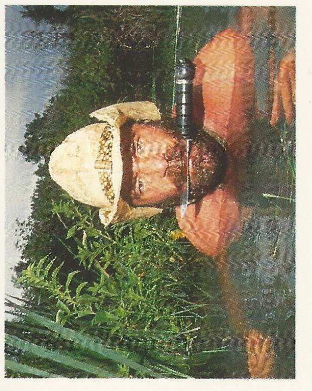 WWF Merlin Stickers 1991 Skinner #293
