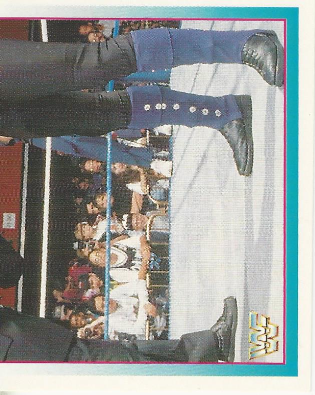 WWF Merlin Stickers 1995 Undertaker #29