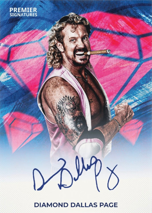 Diamond Dallas Page