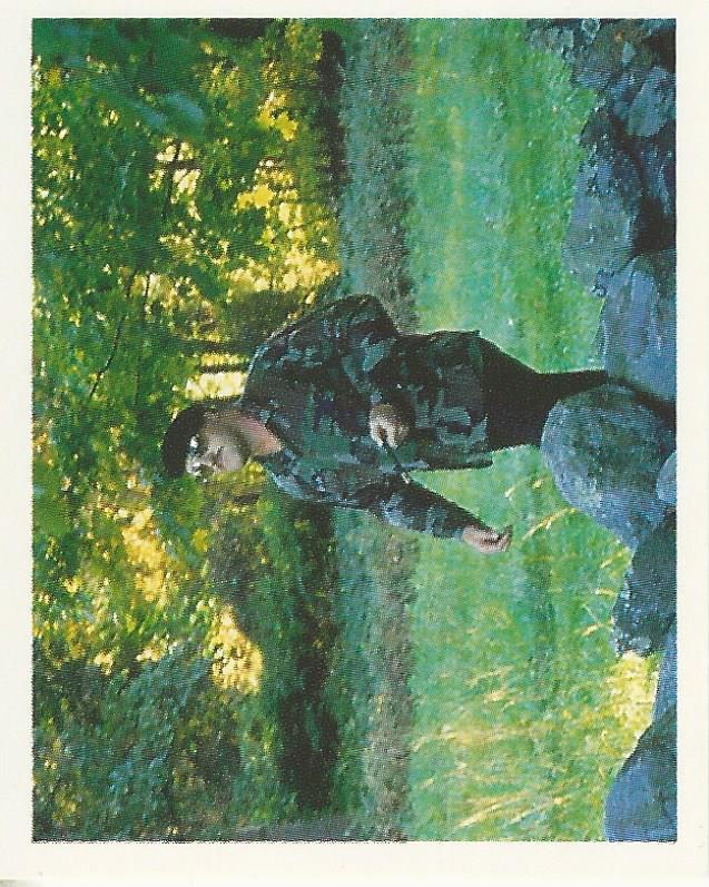 WWF Merlin Stickers 1991 Sgt Slaughter #308