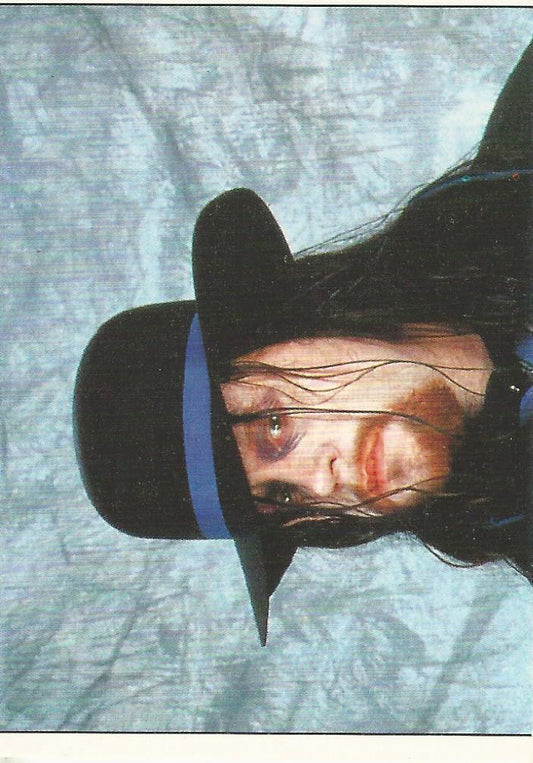 WWF Panini 1995 Sticker Collection Undertaker #31