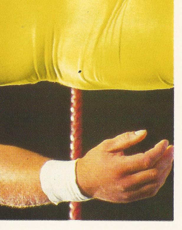 WWF Merlin Stickers 1991 Mr Perfect #327