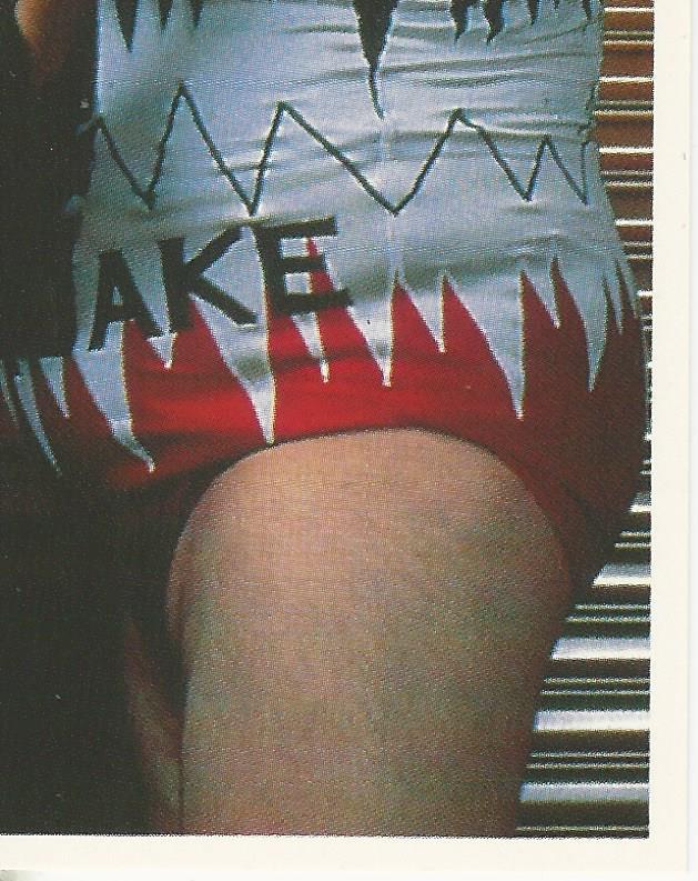 WWF Merlin Stickers 1991 Natural Disasters #33