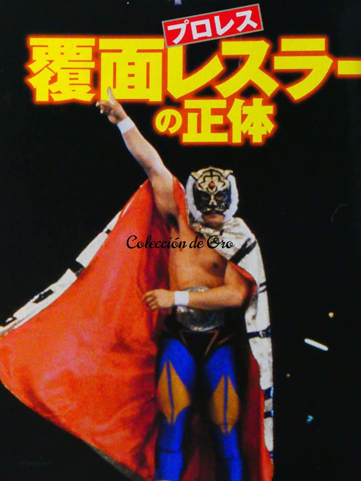 Japan magazine Magazine PWcatalog