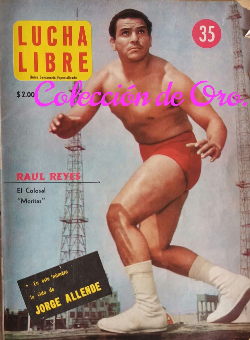 Lucha Libre Volume 35 Magazine PWcatalog