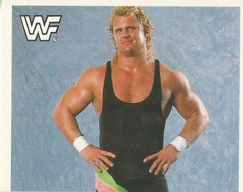 WWF Merlin Sticker Collection 1990 Mr Perfect #35