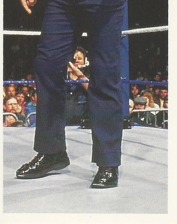 WWF Merlin Stickers 1991 IRS #367