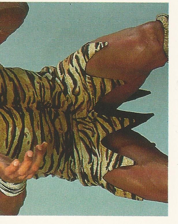 WWF Merlin Stickers 1991 Jimmy Snuka #377