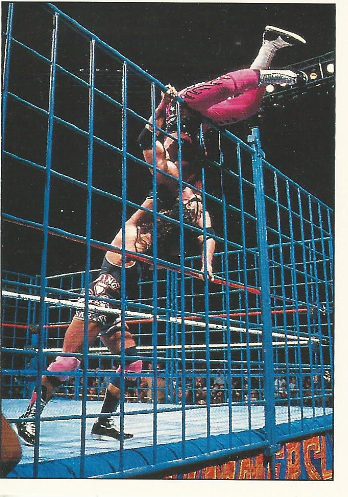 WWF Panini 1995 Sticker Collection Bret Hart vs Owen Hart #37