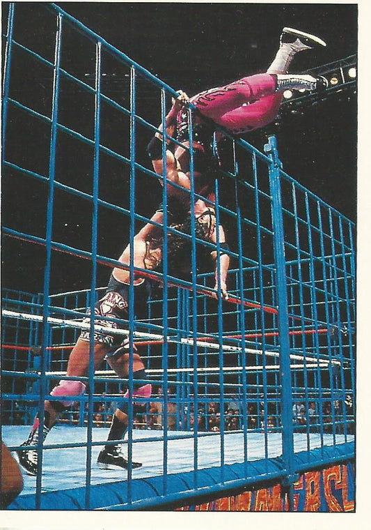 WWF Panini 1995 Sticker Collection Bret Hart vs Owen Hart #37