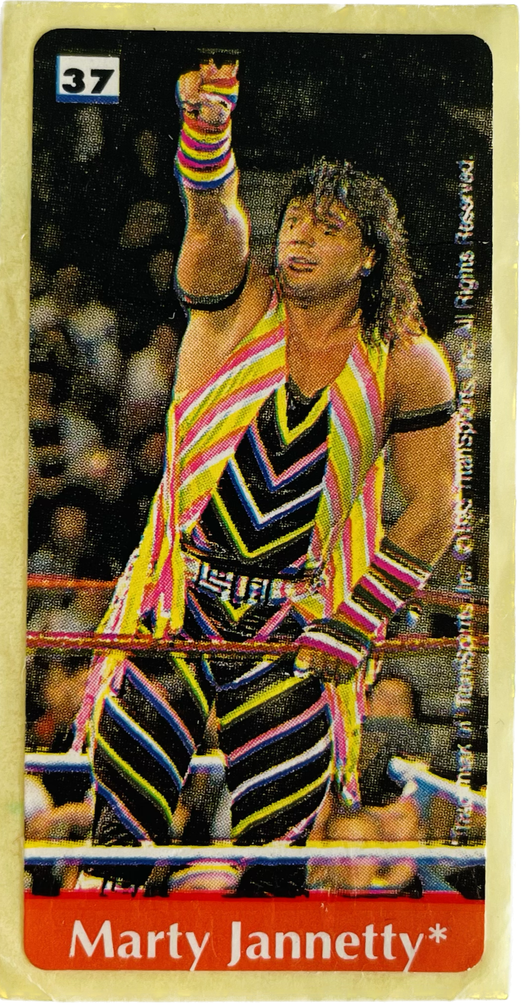 WWF Dunkin Bubble Gum Stickers (1993) No. 37 Marty Jannetty PW Catalog
