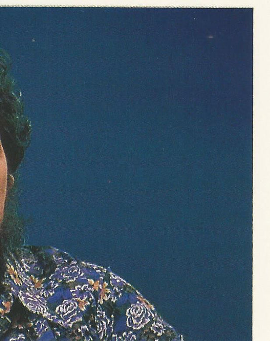 WWF Merlin Stickers 1991 Andre the Giant #383