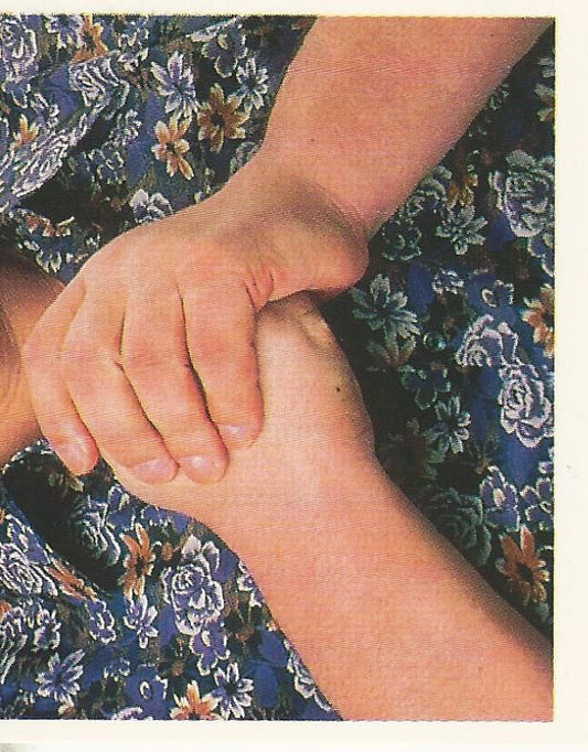 WWF Merlin Stickers 1991 Andre the Giant #388