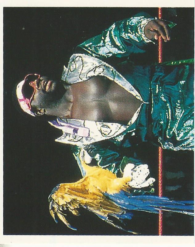 WWF Merlin Stickers 1991 Koko B Ware #394