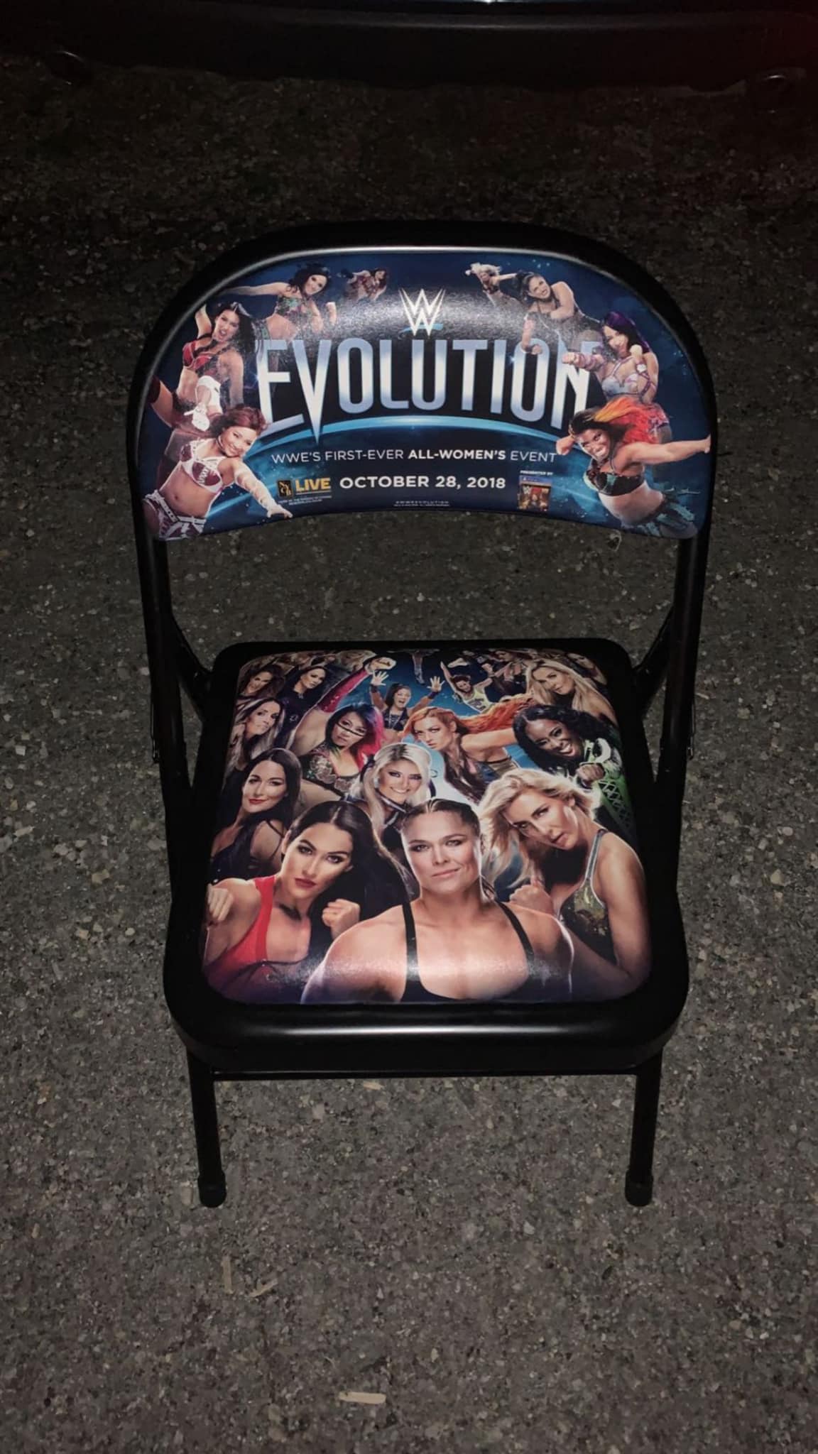 Evolution 2018 - image 3