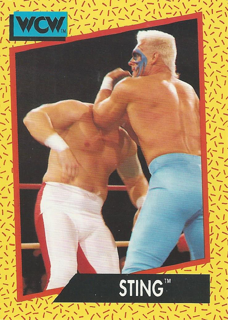 WCW Impel 1991 Sting #3