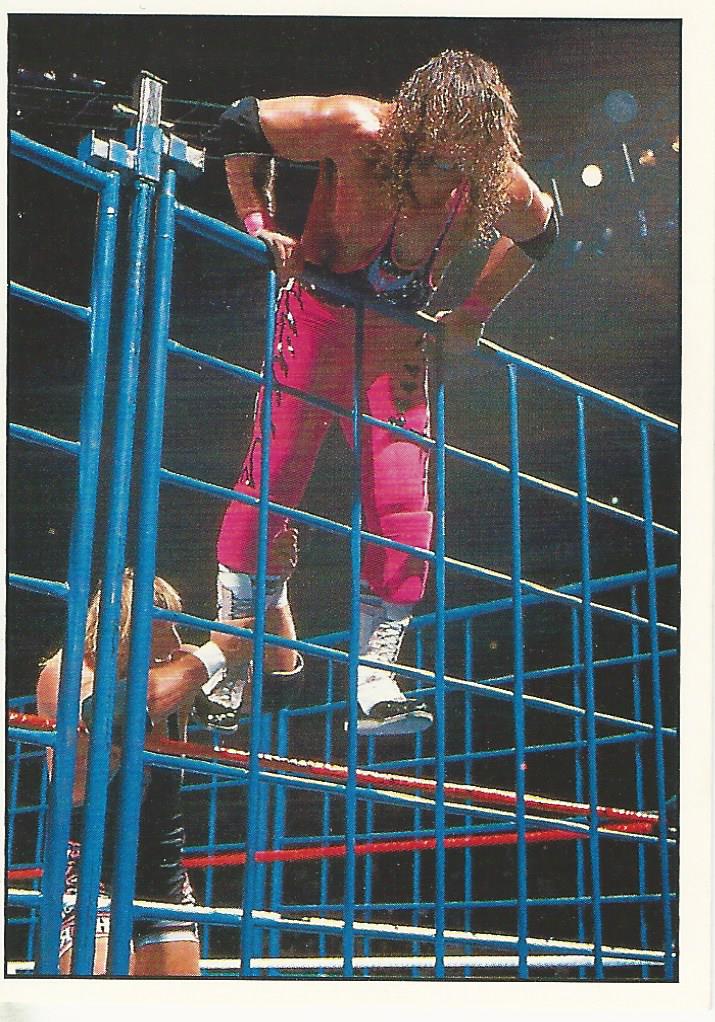 WWF Panini 1995 Sticker Collection Bret Hart vs Owen Hart #40