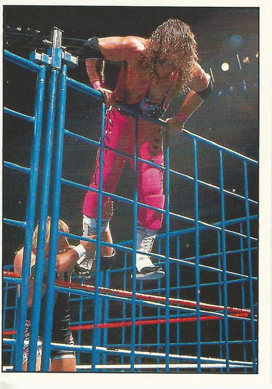 WWF Panini 1995 Sticker Collection Bret Hart vs Owen Hart #40