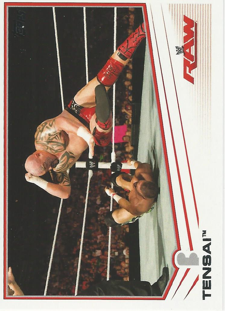 WWE Topps 2013 Tensai #40