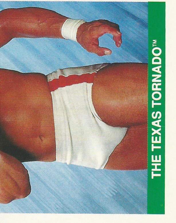 WWF Merlin Sticker Collection 1990 Texas Tornado #40