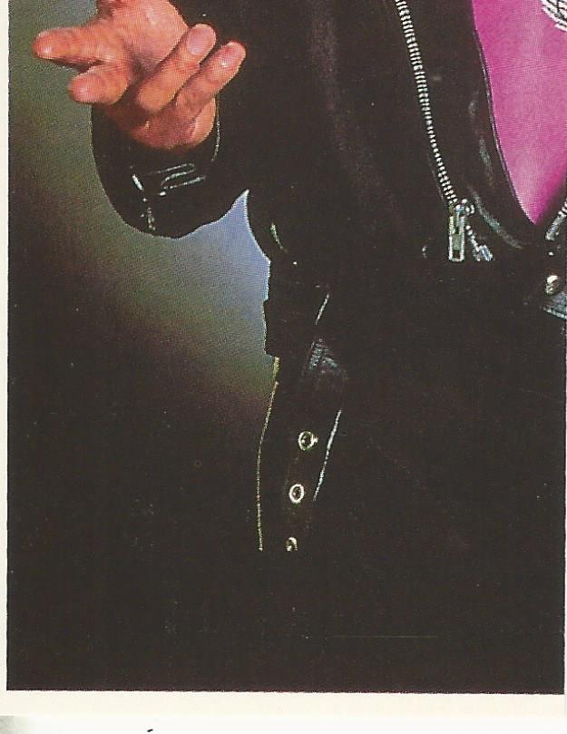 WWF Merlin Stickers 1992 Bret Hart #41