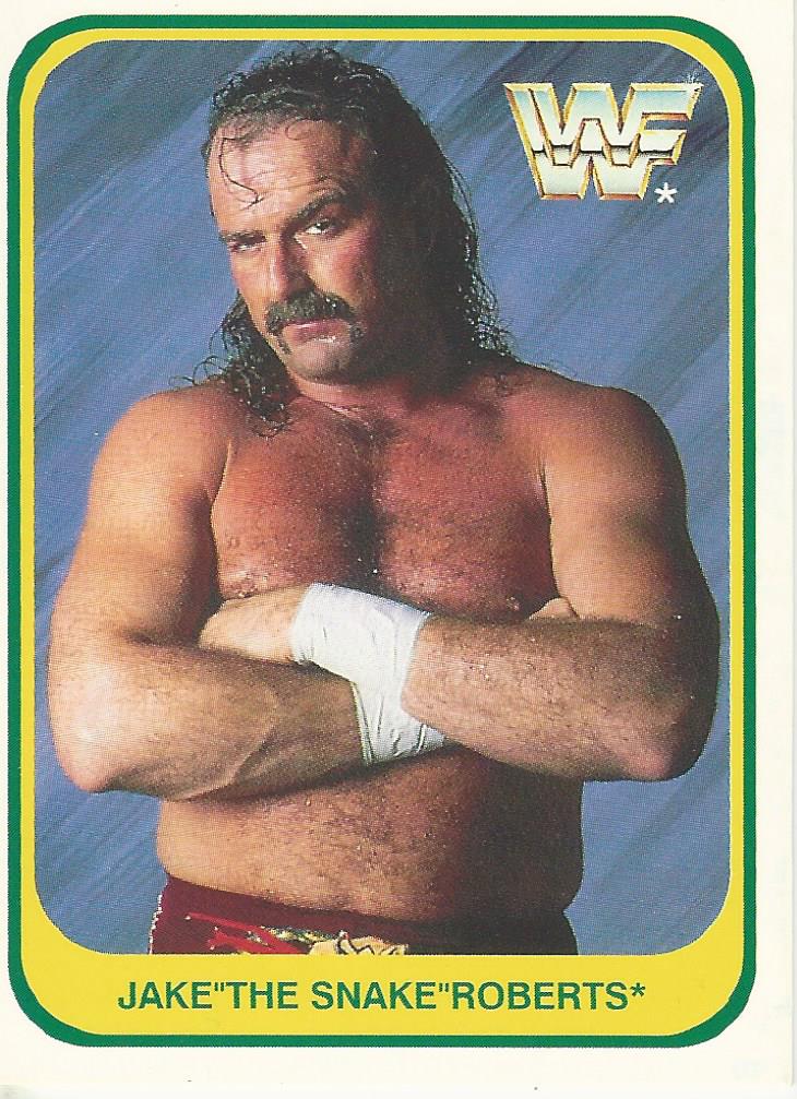 WWF Merlin 1991 Jake the Snake Roberts #42
