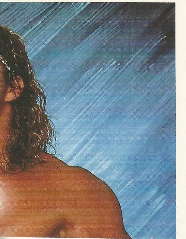 WWF Merlin Sticker Collection 1990 Texas Tornado #43