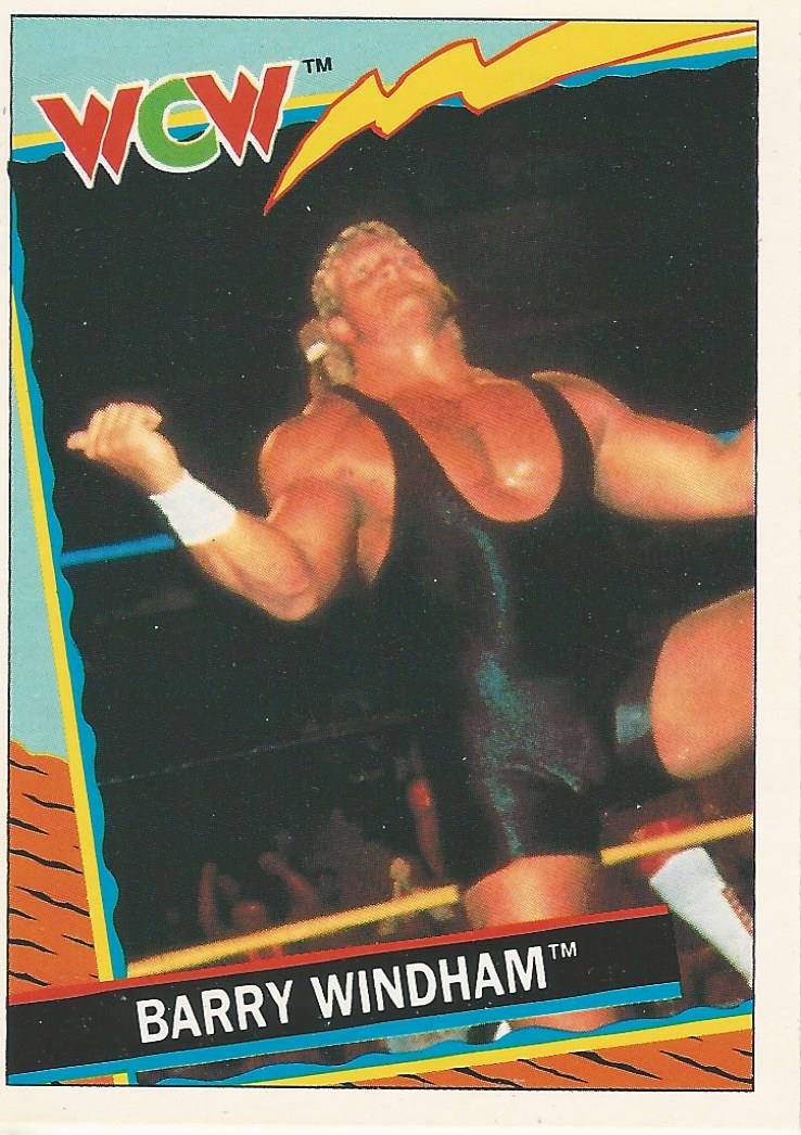 WCW Topps 1992 Barry Windham (Sid Vicious) #45