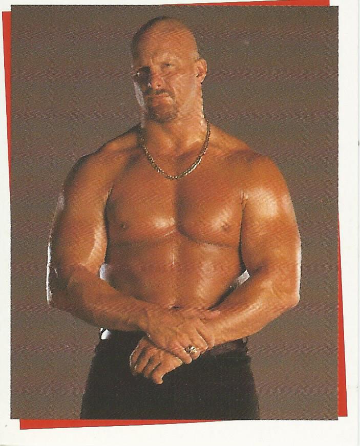WWF Smackdown Stickers 2000 Stone Cold Steve Austin #45