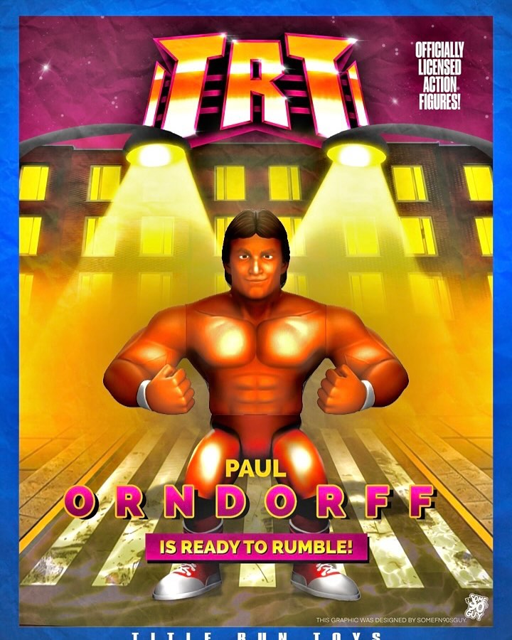 Title Run Toys Series 1 "Mr. Wonderful" Paul Orndorff PW Catalog