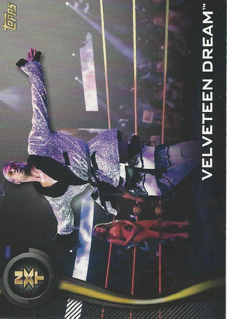 WWE Topps NXT 2019 Velveteen Dream #46