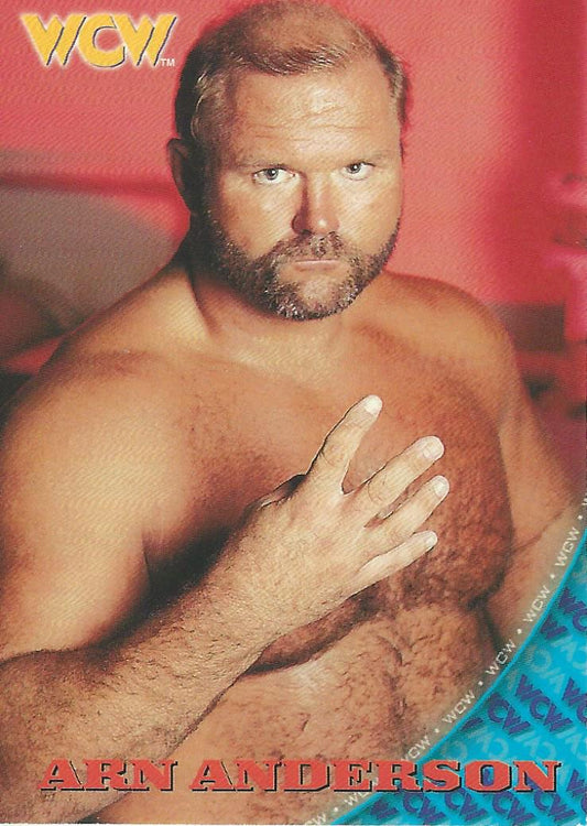WCW/NWO Topps 1998 Arn Anderson #49