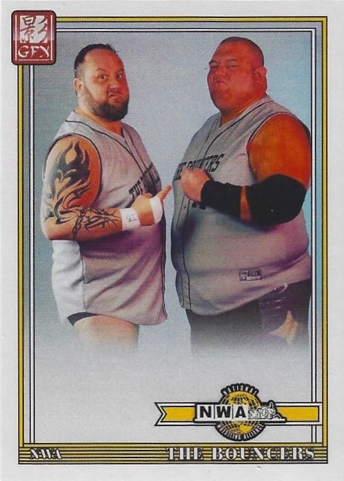 The Bouncers