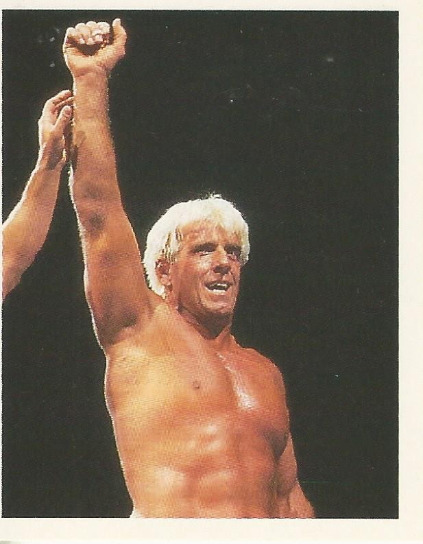 WWF Merlin Stickers 1992 Ric Flair #50