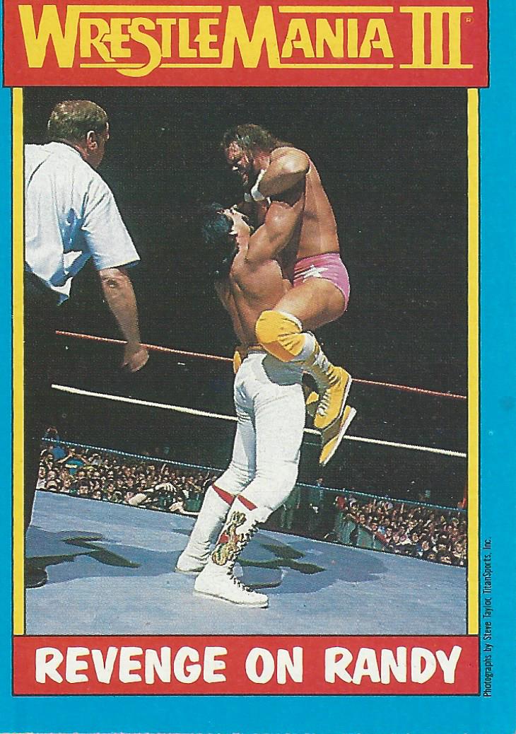 Topps WWF Wrestling Cards1987 Ricky Steamboat #50