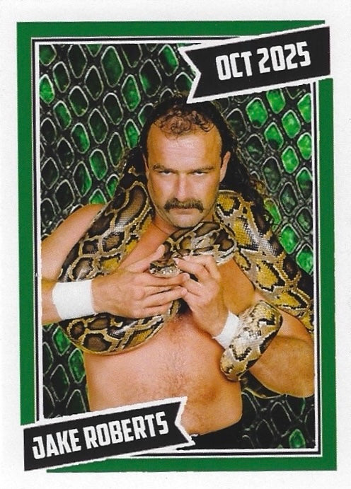 Jake Roberts
