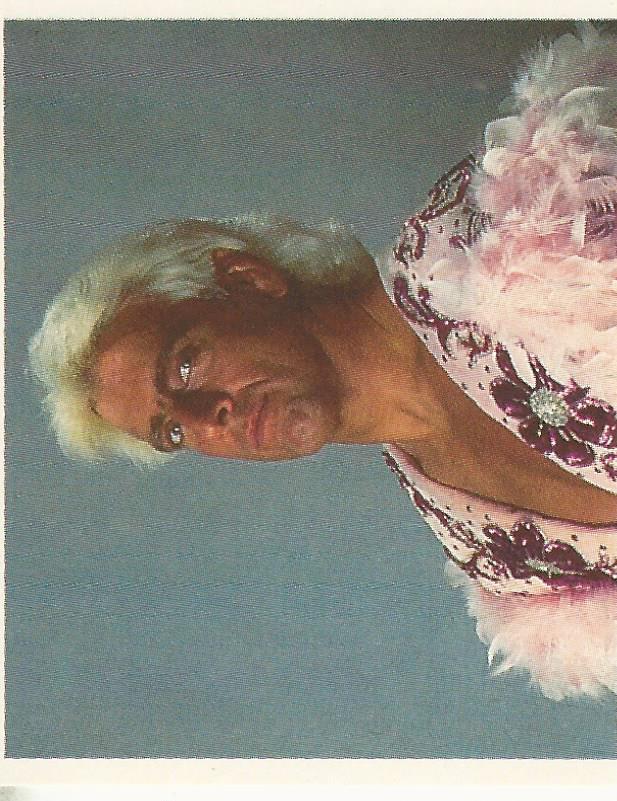 WWF Merlin Stickers 1992 Ric Flair #51