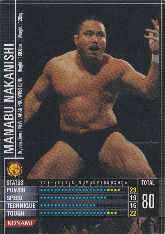 Manabu Nakanishi