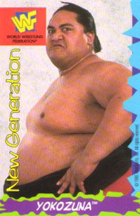 Yokozuna WWF Ice Cream Cut-out & Card 1995 Good Humor PW Catalog