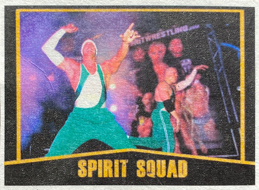 Spirit Squad