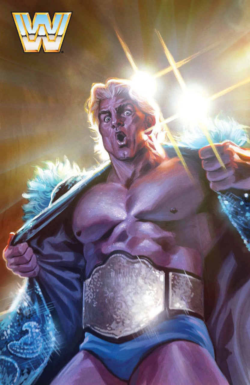 WWE Volume 3 The Brawler and the Beast Comic Book by Boom! Studios Cover D Pwcatalog
