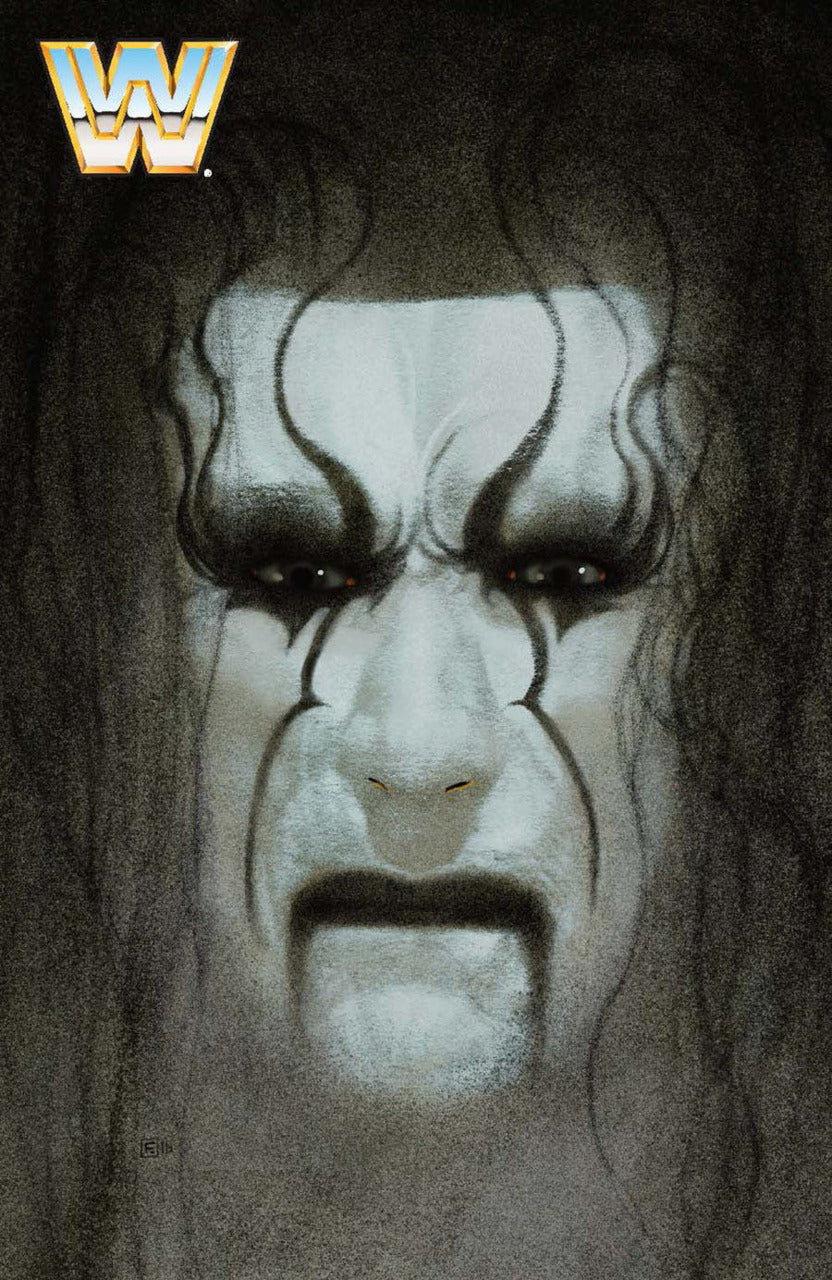 WWE Volume 4 Welcome Home Comic Book by Boom! Studios Cover D Pwcatalog