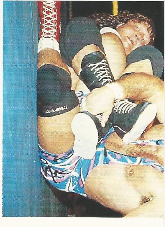 WCW Euroflash 1992 Sticker Steiner Brothers #59
