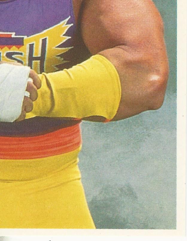 WWF Merlin Stickers 1992 Crush #60